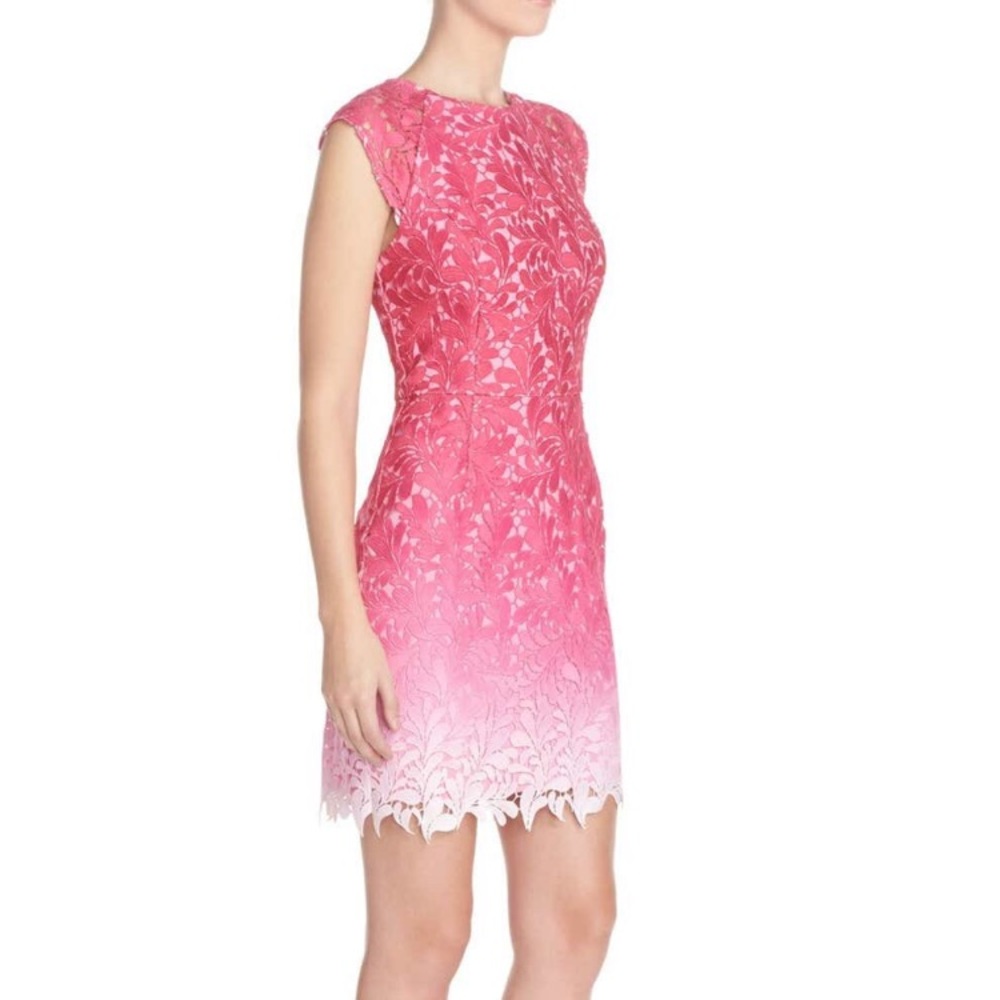 Pink ombre lace sheath dress